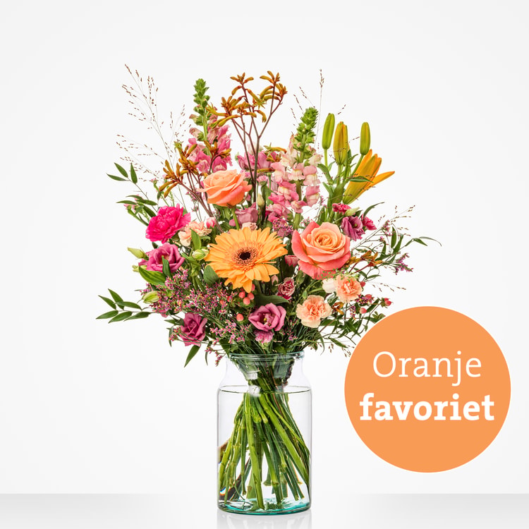 Oranje boven hover